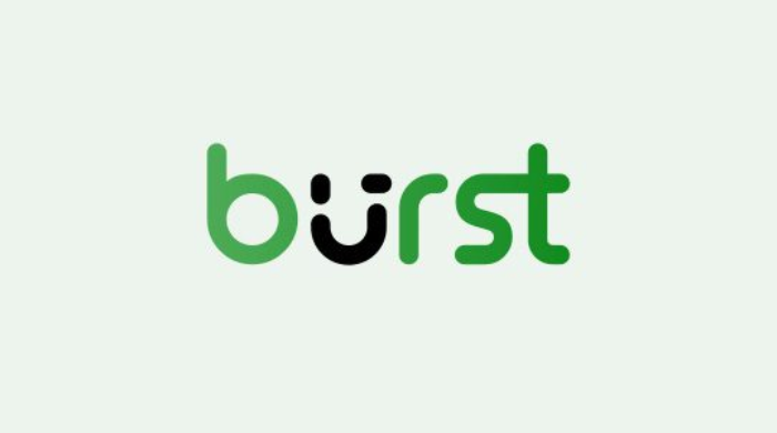 Burst Statistics.png