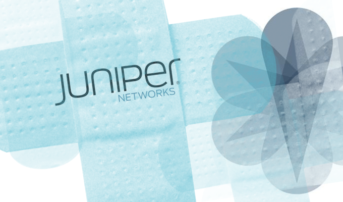 juniper-393.png