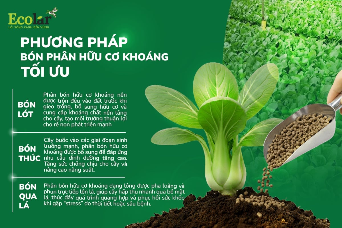 phương pháp.jpg