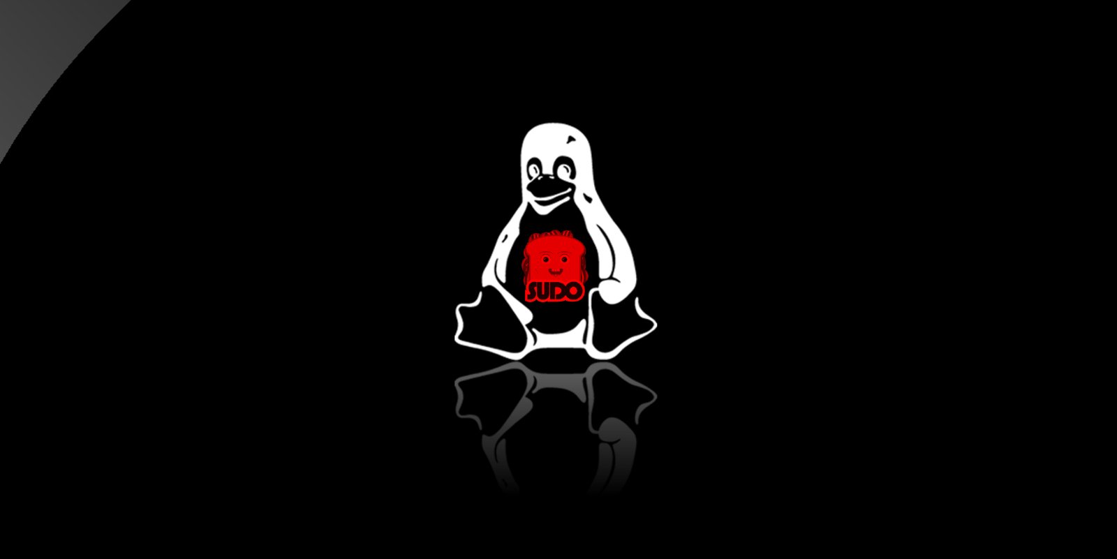 Sudo.jpg