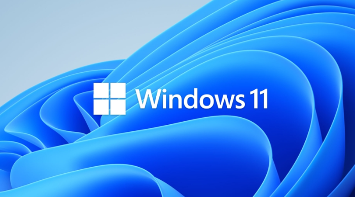windows11.png
