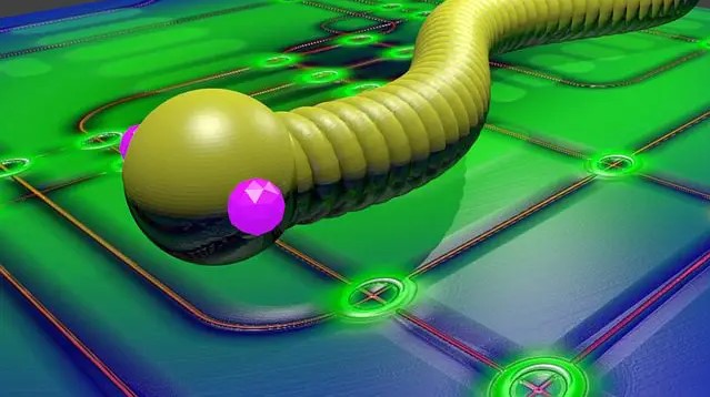 worm.jpg
