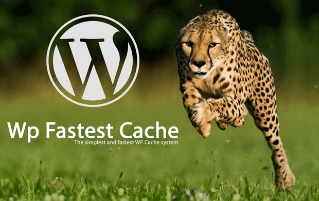 wpfastestcache-1.jpg