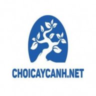 choicaycanhnet