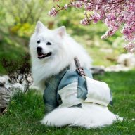 Best Natural Photography