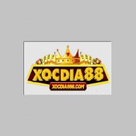 xocda86com1