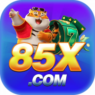 85xnetbr
