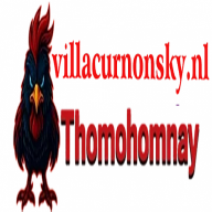 thomohomnayvilla