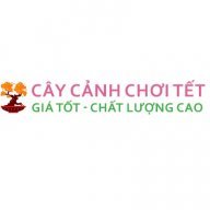 caycanhchoitet