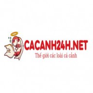 cacanh24h