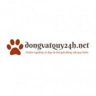dongvatquy24h