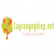 caycongnghiep