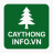 caythonginfovn
