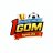1gomcfd